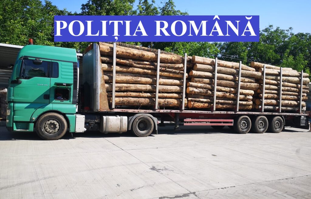 Judecător: Parchetul General nu tratează serios infracțiunile contra fondului forestier național